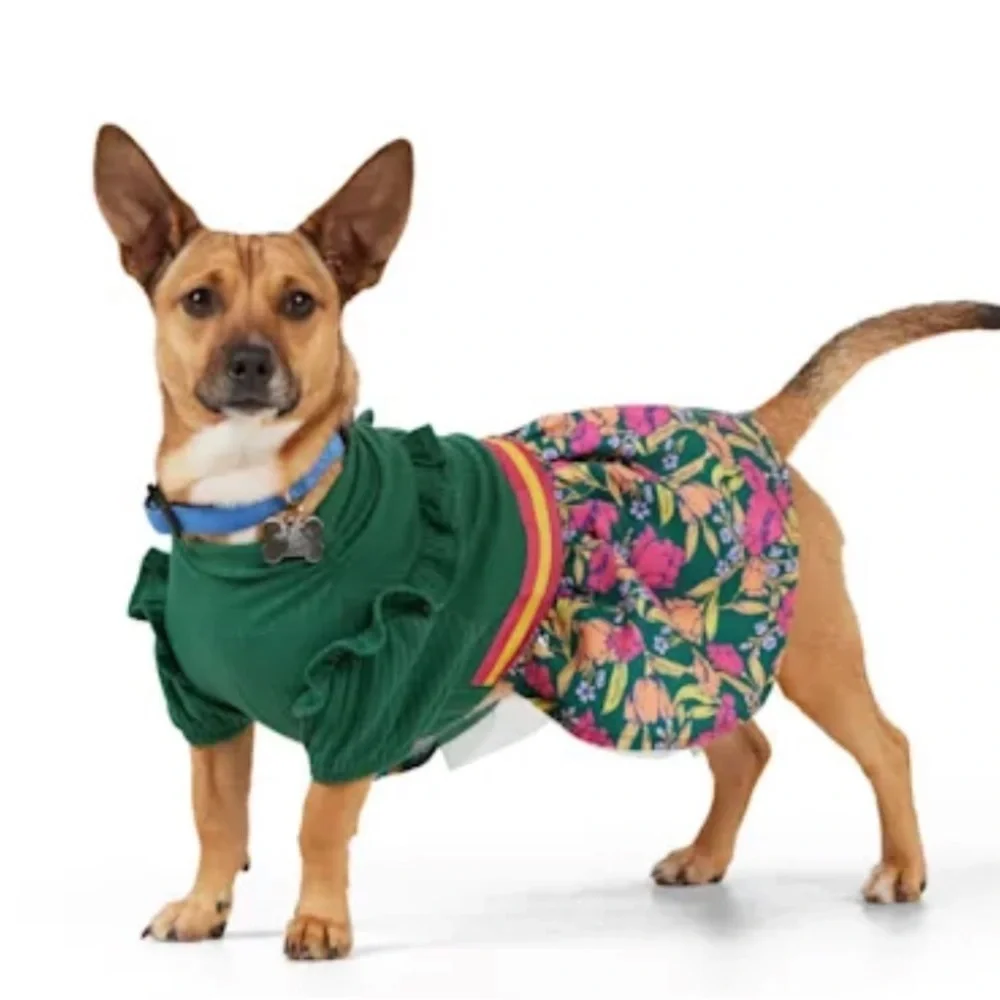 NWT YOULY Sweater dog dress XXS